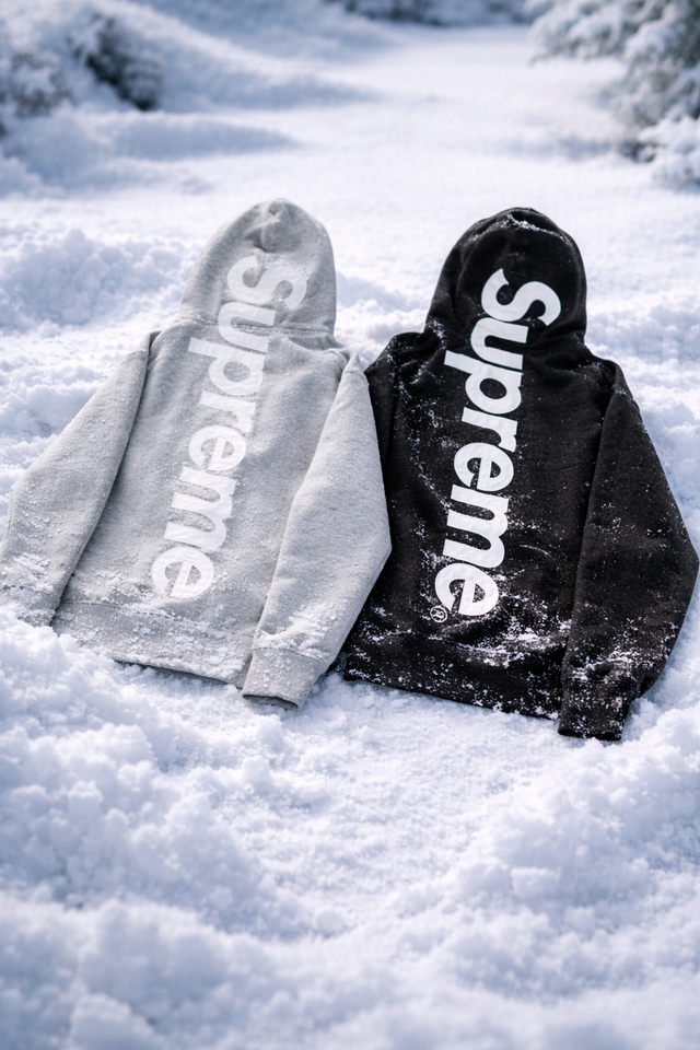 Supreme Satin Applique Hooded Sudadera (FW24) Grey